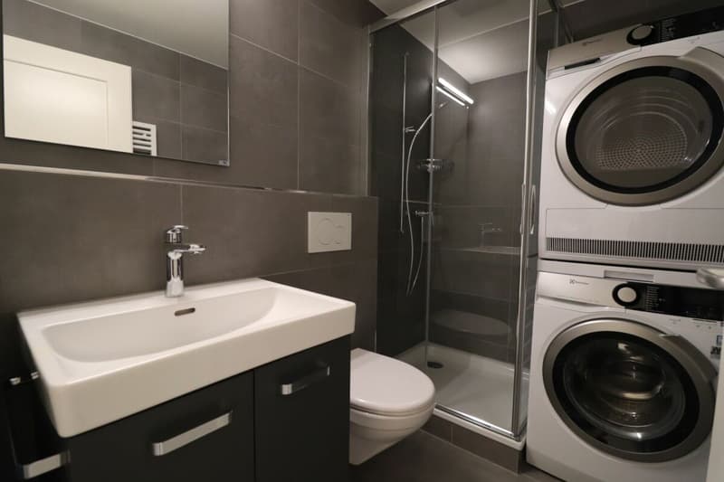 Reinach, vicino al centro del villaggio - appartamento 3 locali moderno su Alemannenstrasse (9)