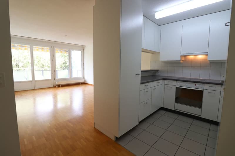 Wasserwerkstrasse - bel appartamento moderno 2 1/2 locali al 1° piano (2)
