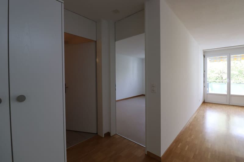 Wasserwerkstrasse - bel appartamento moderno 2 1/2 locali al 1° piano (8)