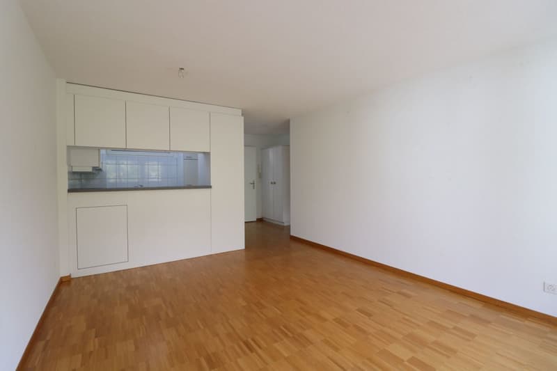 Wasserwerkstrasse - bel appartamento moderno 2 1/2 locali al 1° piano (5)