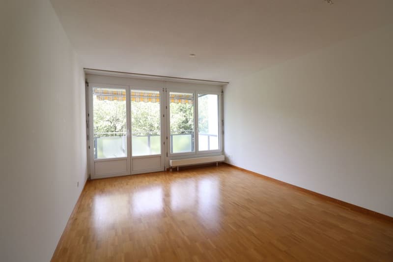 Wasserwerkstrasse - bel appartamento moderno 2 1/2 locali al 1° piano (3)