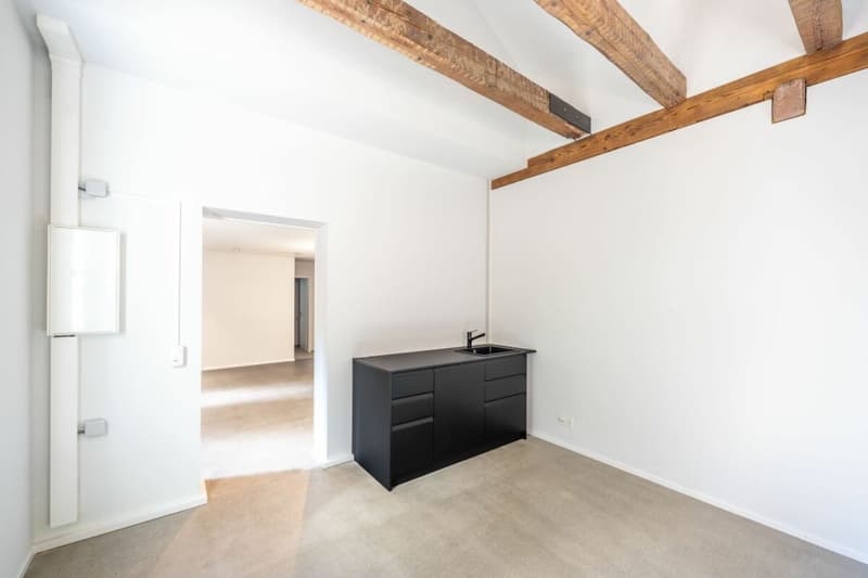 Architettura rappresentativa con un'atmosfera unica (8)