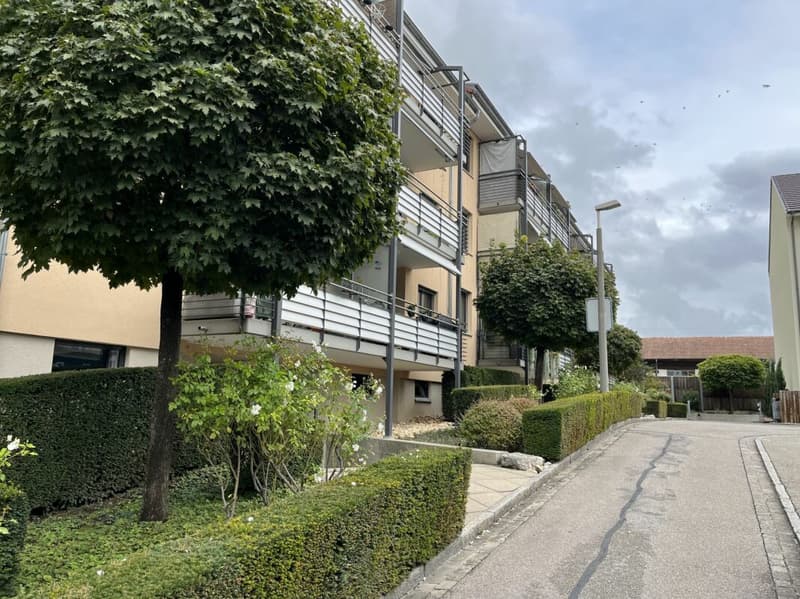 A Riehen, appartamento spazioso 2.5 locali con galleria in affitto (1)