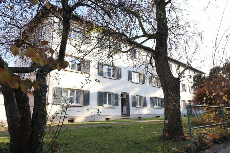Nahe Gartenstadt - Schöne 3-Zimmerwohnung in Münchenstein (1)