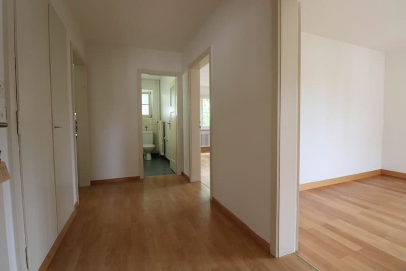 Nahe Gartenstadt - Schöne 3-Zimmerwohnung in Münchenstein (4)