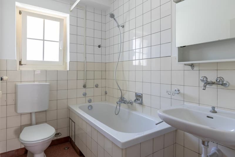 Nahe Gartenstadt - Schöne 3-Zimmerwohnung in Münchenstein (8)