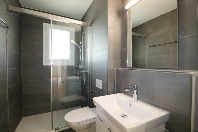 Vicino al centro del villaggio di Reinach - appartamento di 3 camere accogliente a Reinach (10)