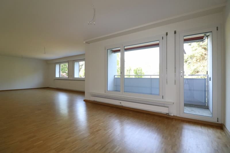 Al Lindenplatz - appartamento 4 locali spazioso ristrutturato di recente al 1° piano (4)