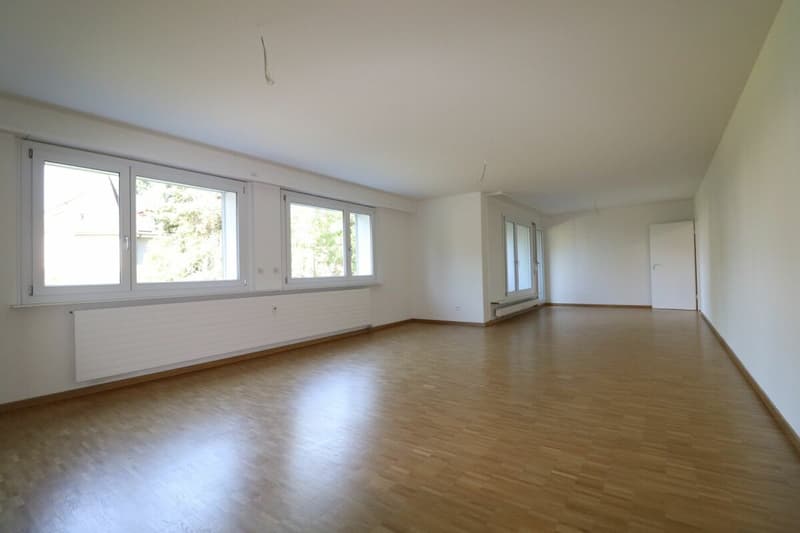 Al Lindenplatz - appartamento 4 locali spazioso ristrutturato di recente al 1° piano (3)