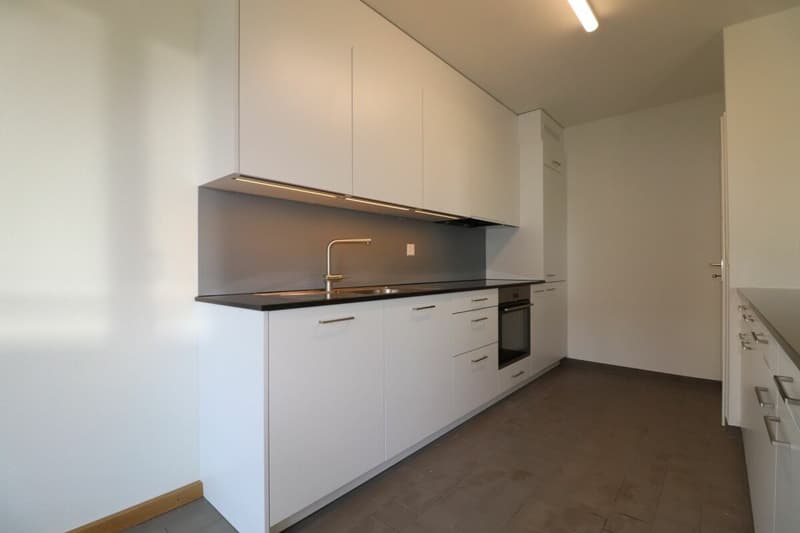Au Lindenplatz - appartement de 2,5 pièces rénové à louer (2)
