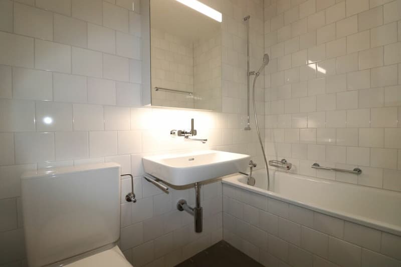 Au Lindenplatz - appartement de 2,5 pièces rénové à louer (6)