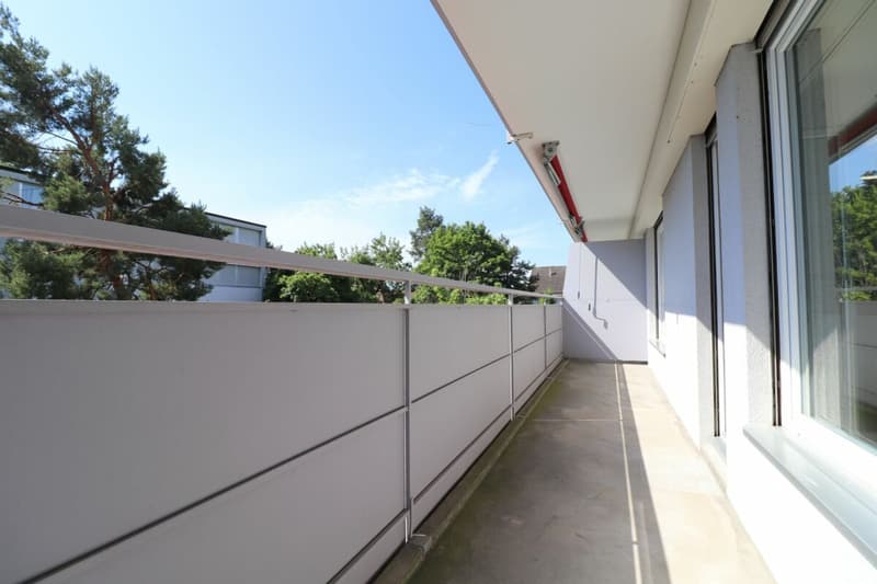 Au Lindenplatz - appartement de 2,5 pièces rénové à louer (9)