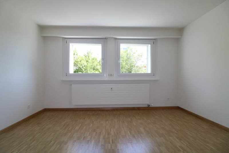 Au Lindenplatz - appartement de 2,5 pièces rénové à louer (5)