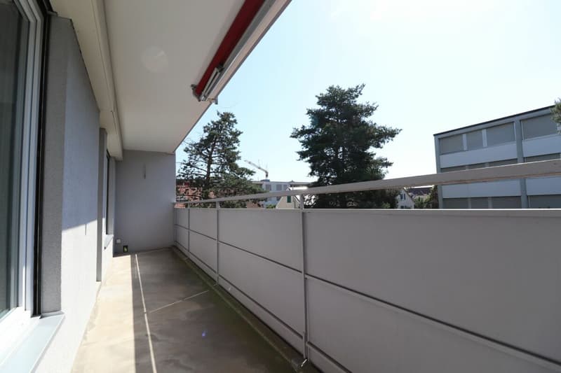 Au Lindenplatz - appartement de 2,5 pièces rénové à louer (8)