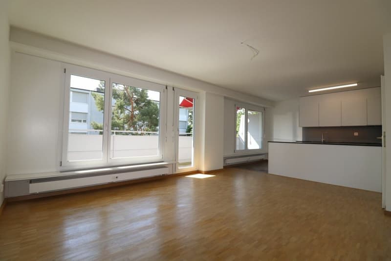 Au Lindenplatz - appartement de 2,5 pièces rénové à louer (4)