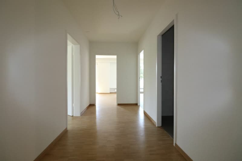 Au Lindenplatz - appartement de 2,5 pièces rénové à louer (7)