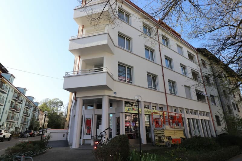 Im Breite-Quartier - moderne und helle 3-Zimmerwohnung in Basel (1)