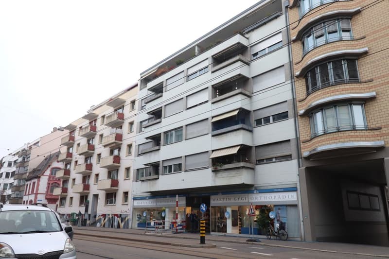 Vicino a Spalentor/Uni, bell'appartamento monostanza in affitto (4)