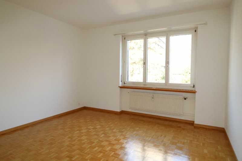 Vicino ad Aeschenplatz e alla stazione SBB - appartamento 4 1/2 locali spazioso al 4° piano (7)