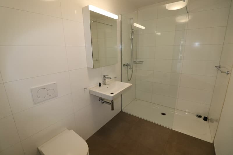 Xaver-Areal, Binningen - appartamento 3 1/2 locali moderno in affitto (10)