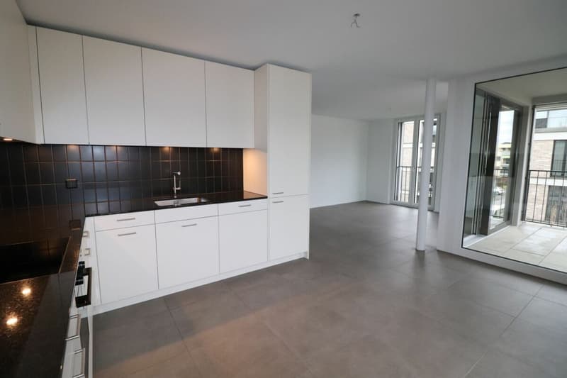 Xaver-Areal, Binningen - appartamento 3 1/2 locali moderno in affitto (3)