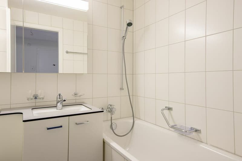 Nähe Paradies und Allschwiler Weiher - gemütliche 3-Zimmerwohnung im 1.OG (10)