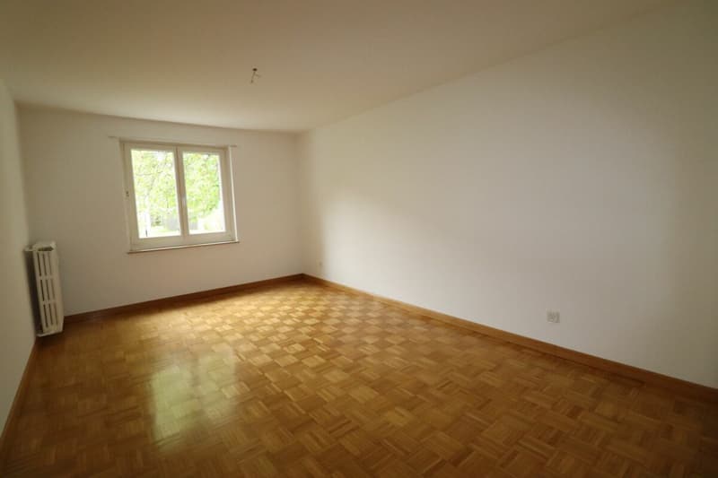 Près de Letten-Center et Ziegelei - Appartement 3 pièces au 1er étage à Allschwil à louer (7)