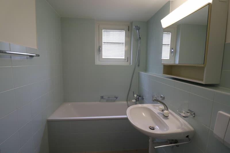 Près de Letten-Center et Ziegelei - Appartement 3 pièces au 1er étage à Allschwil à louer (9)