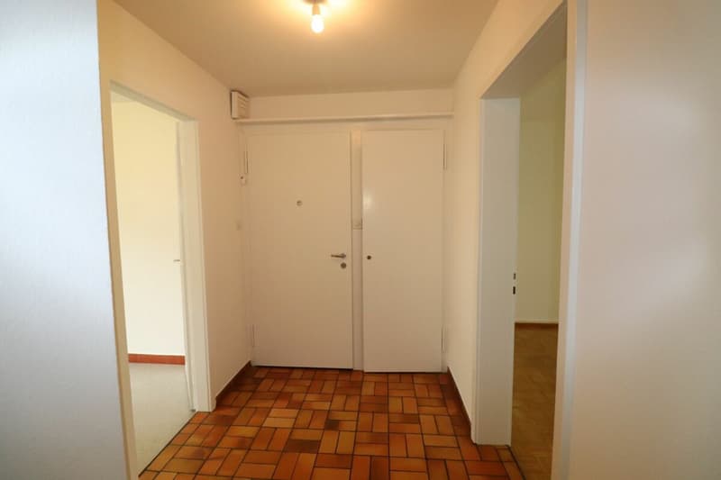 Près de Letten-Center et Ziegelei - Appartement 3 pièces au 1er étage à Allschwil à louer (3)