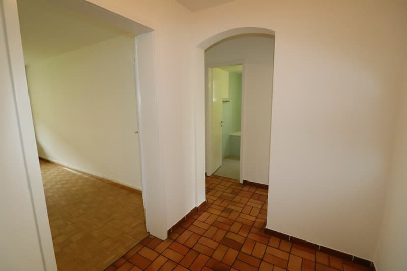 Près de Letten-Center et Ziegelei - Appartement 3 pièces au 1er étage à Allschwil à louer (4)