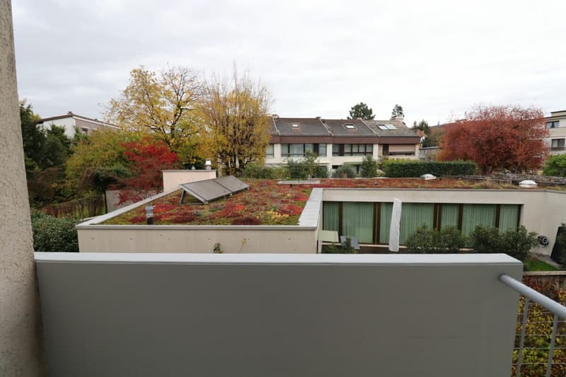 Near Entenweiher - quiet 3-room apartment in Riehen for 1-2 people (4)