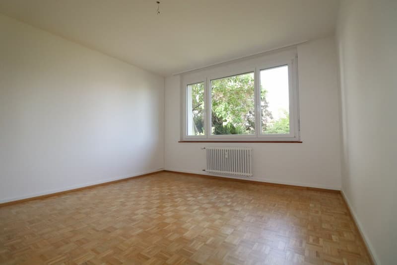 Near Entenweiher - quiet 3-room apartment in Riehen for 1-2 people (7)