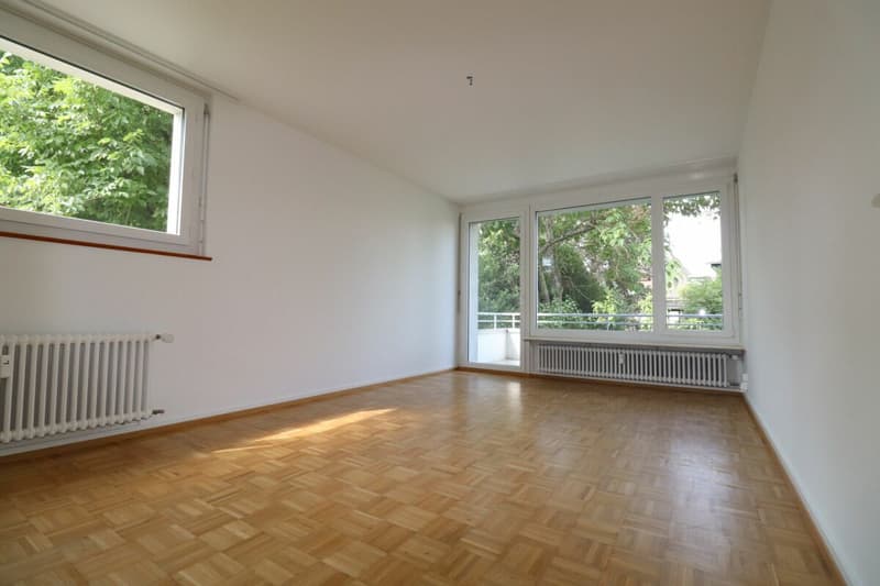 Near Entenweiher - quiet 3-room apartment in Riehen for 1-2 people (5)