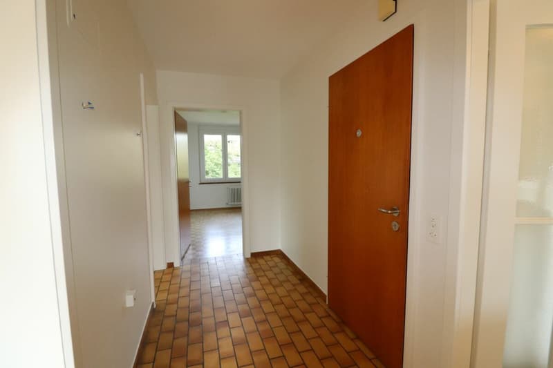 Near Entenweiher - quiet 3-room apartment in Riehen for 1-2 people (2)