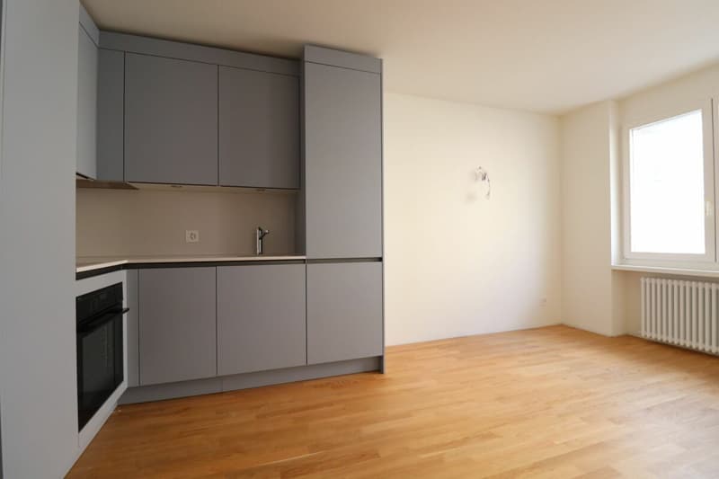 Prima locazione dopo ristrutturazione - Appartamento 1 ½ locali a Gundeli (vicino alla stazione SBB) (1)