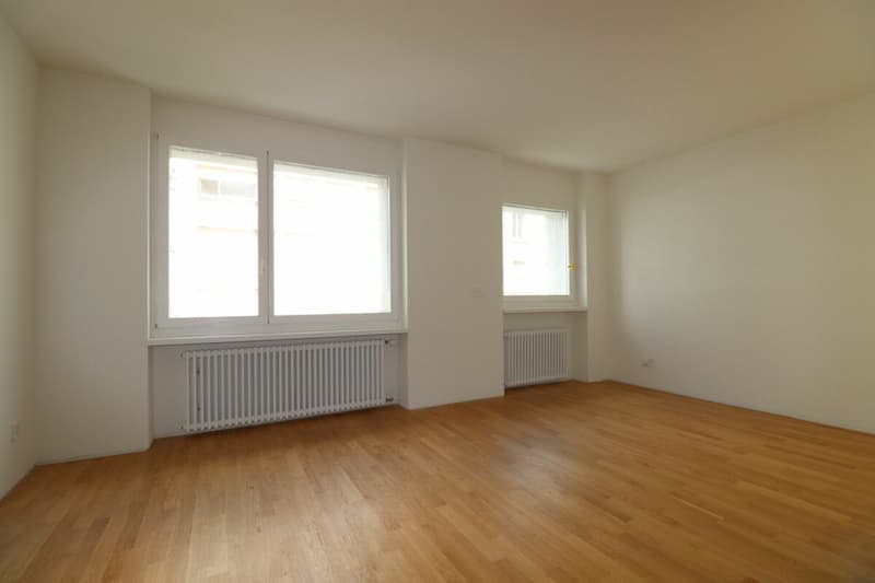 Prima locazione dopo ristrutturazione - Appartamento 1 ½ locali a Gundeli (vicino alla stazione SBB) (3)