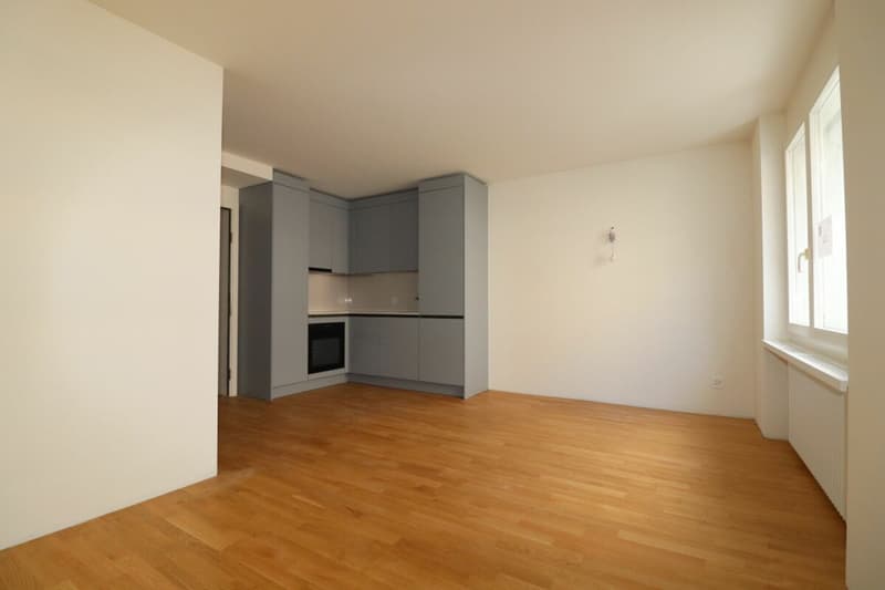 Prima locazione dopo ristrutturazione - Appartamento 1 ½ locali a Gundeli (vicino alla stazione SBB) (2)