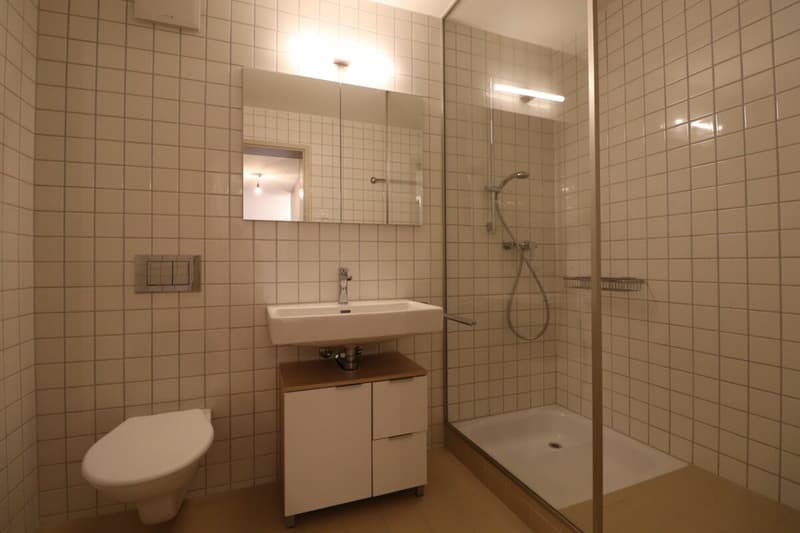 Appartamento di lusso Sempacherhof - appartamento moderno 4,5 locali al 1° piano (10)