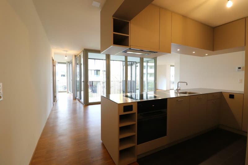 Appartamento di lusso Sempacherhof - appartamento moderno 4,5 locali al 1° piano (3)