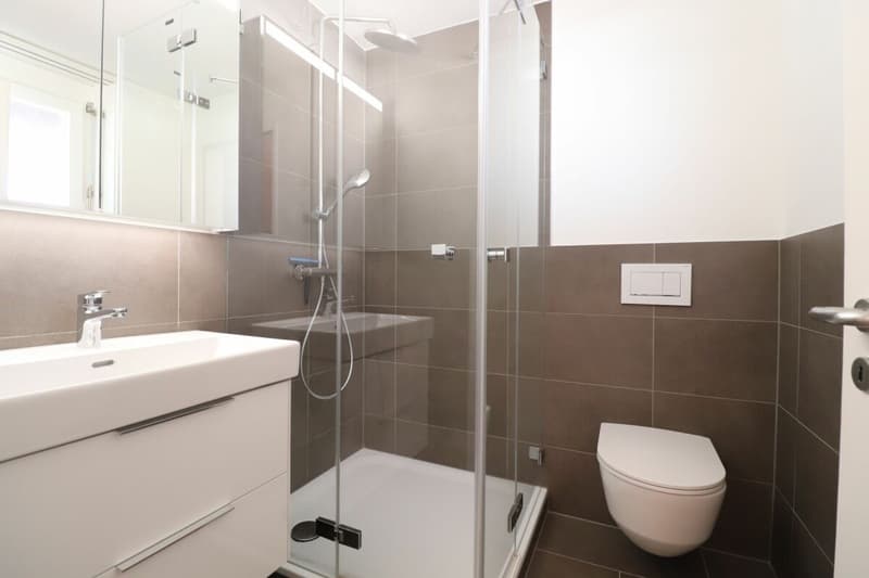 In the popular Freuler quarter - modern maisonette attic apartment with 2 balconies (5)