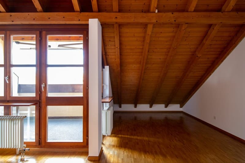 In the popular Freuler quarter - modern maisonette attic apartment with 2 balconies (11)