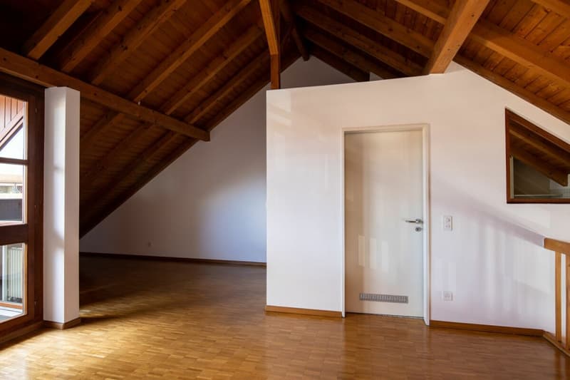 In the popular Freuler quarter - modern maisonette attic apartment with 2 balconies (9)