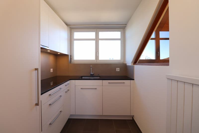 In the popular Freuler quarter - modern maisonette attic apartment with 2 balconies (7)