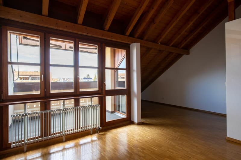 In the popular Freuler quarter - modern maisonette attic apartment with 2 balconies (10)