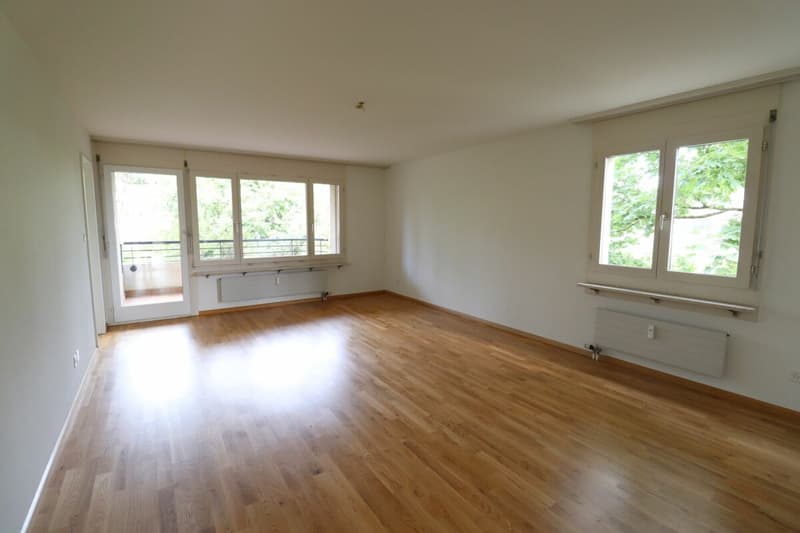 Près de Morgartenring et Schützenmattpark - Appartement de 3,5 pièces confortable à Allschwil (6)
