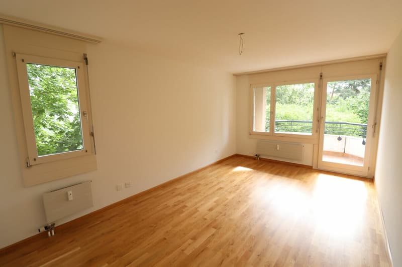 Près de Morgartenring et Schützenmattpark - Appartement de 3,5 pièces confortable à Allschwil (4)