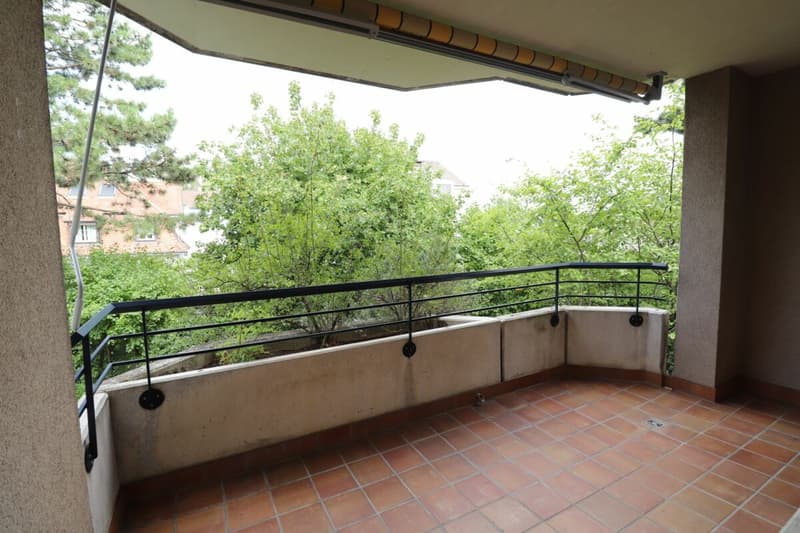 Près de Morgartenring et Schützenmattpark - Appartement de 3,5 pièces confortable à Allschwil (7)