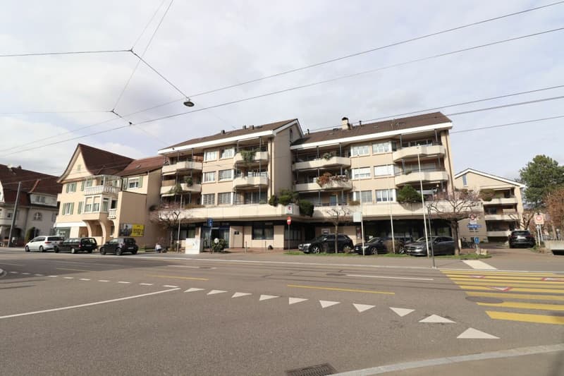 Près de Morgartenring et Schützenmattpark - Appartement de 3,5 pièces confortable à Allschwil (1)