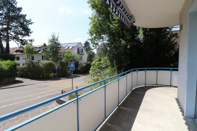 Tra Wasserturm Bruderholz e stazione SBB - bel appartamento di 3 locali su Bruderholz (ideale per single o coppie) (6)