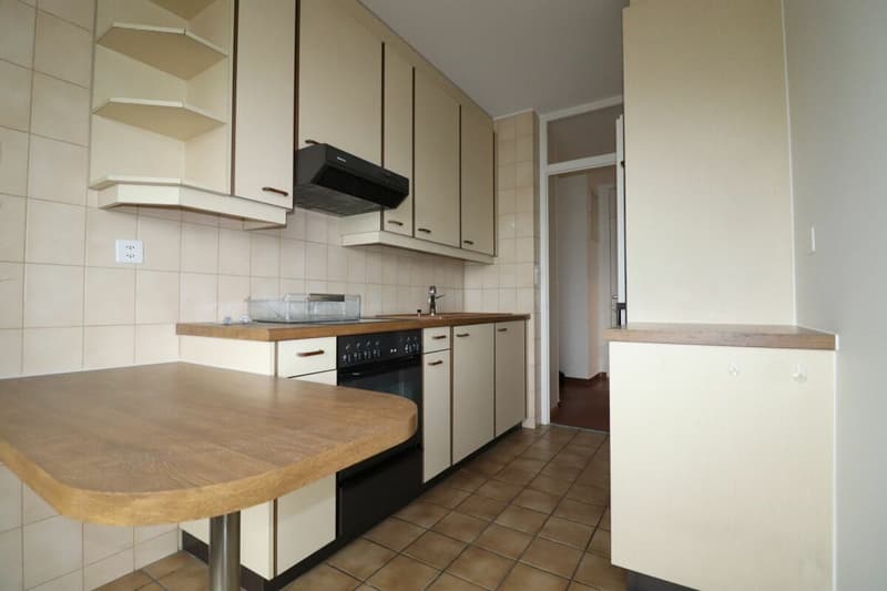 Bel appartement 2 pièces à louer avec vue imprenable (3)